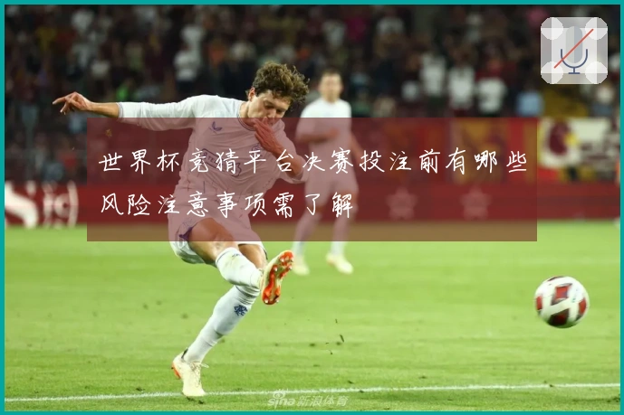 世界杯竞猜平台决赛投注前有哪些风险注意事项需了解