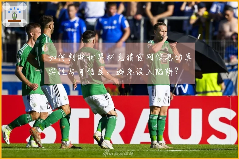 如何判断世界杯竞猜官网信息的真实性与可信度,避免误入陷阱?
