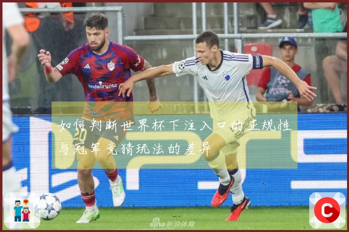 如何判断世界杯下注入口的正规性与冠军竞猜玩法的差异