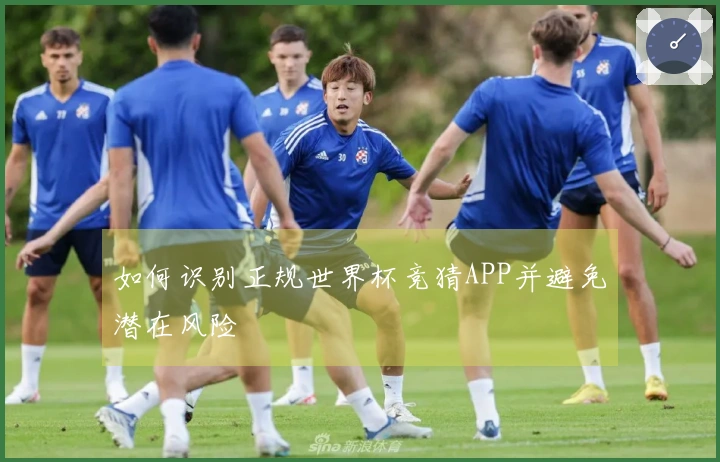 如何识别正规世界杯竞猜APP并避免潜在风险