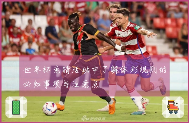 世界杯竞猜活动中了解体彩规则的必知事项与注意点
