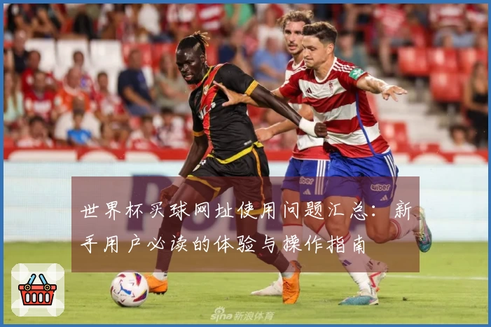 世界杯买球网址使用问题汇总：新手用户必读的体验与操作指南