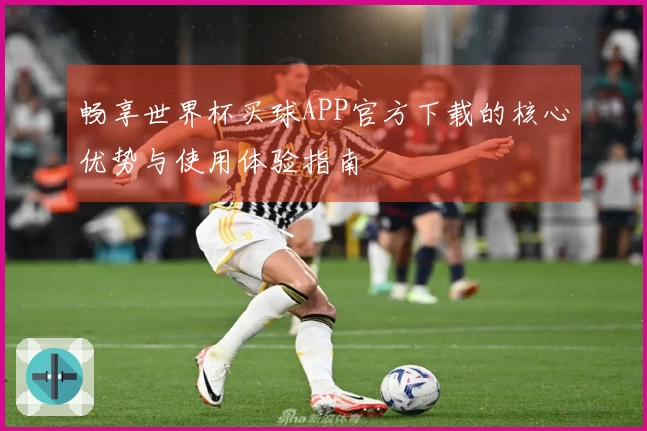 畅享世界杯买球APP官方下载的核心优势与使用体验指南