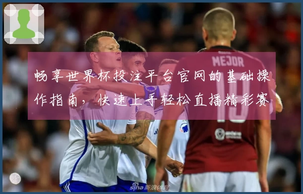 畅享世界杯投注平台官网的基础操作指南，快速上手轻松直播精彩赛事