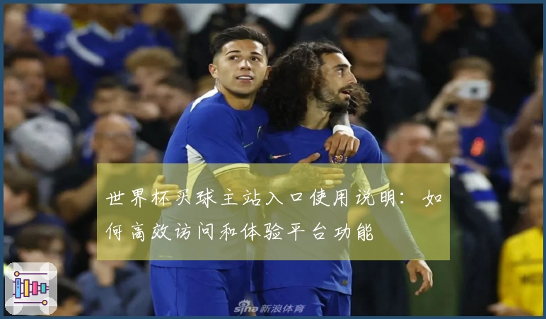 世界杯买球主站入口使用说明：如何高效访问和体验平台功能