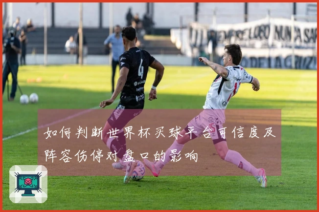 如何判断世界杯买球平台可信度及阵容伤停对盘口的影响