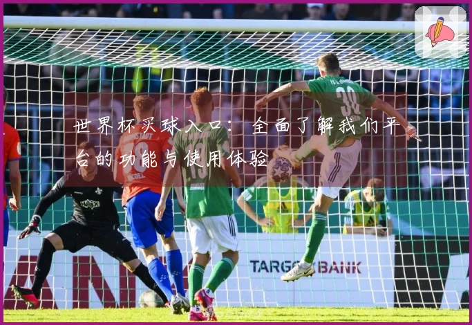 世界杯买球入口：全面了解我们平台的功能与使用体验