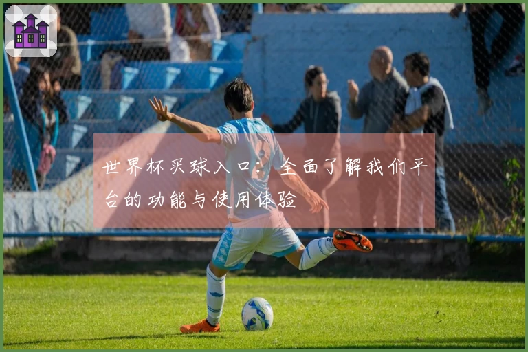 世界杯买球入口：全面了解我们平台的功能与使用体验