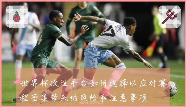 世界杯投注平台如何选择以应对赛程密集带来的风险和注意事项
