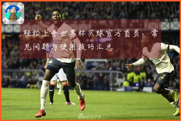 轻松上手世界杯买球官方首页,常见问题与使用技巧汇总