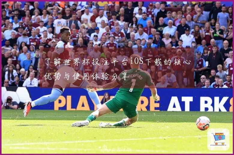 了解世界杯投注平台iOS下载的核心优势与使用体验分享