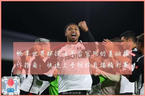 畅享世界杯投注平台官网的基础操作指南,快速上手轻松直播精彩赛事