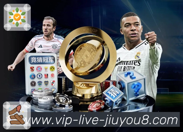 稳定访问登录器